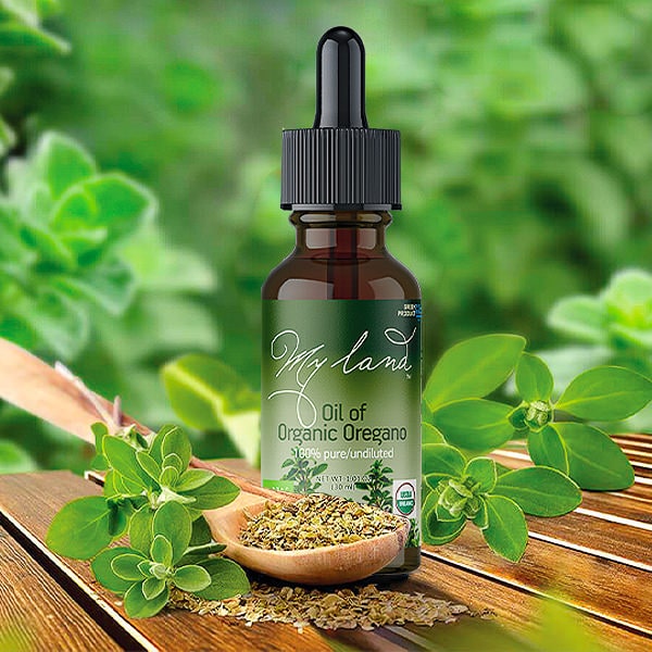 Oil of Oregano Collection | My Land