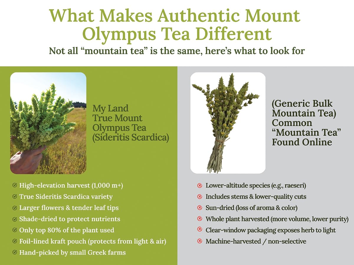 Greek Mountain Tea – Loose Leaf