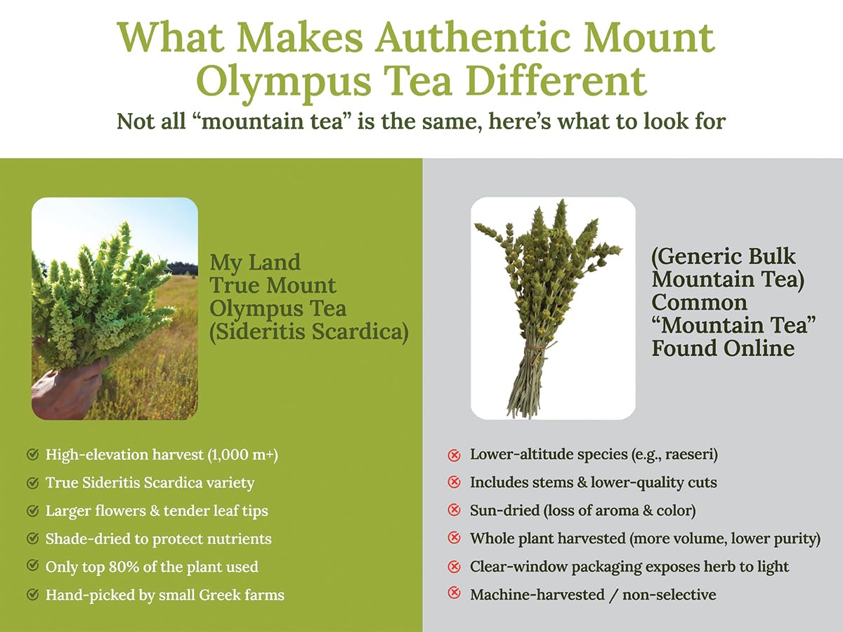 Greek Mountain Tea Bags – 20 Count