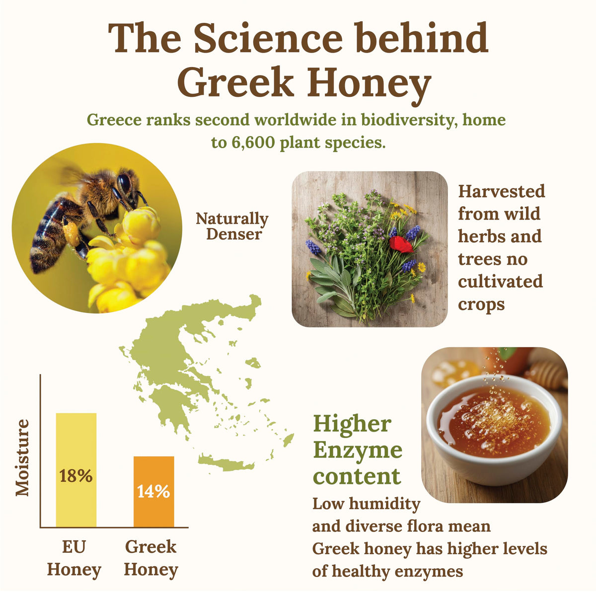 Thyme Honey