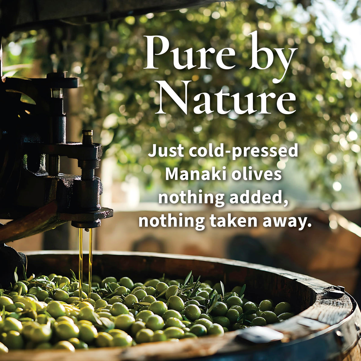Peak: Original Extra Virgin Olive Oil - 16.9 oz Bottle