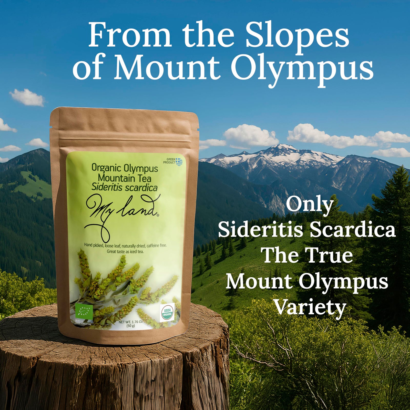 Greek Mountain Tea – Loose Leaf