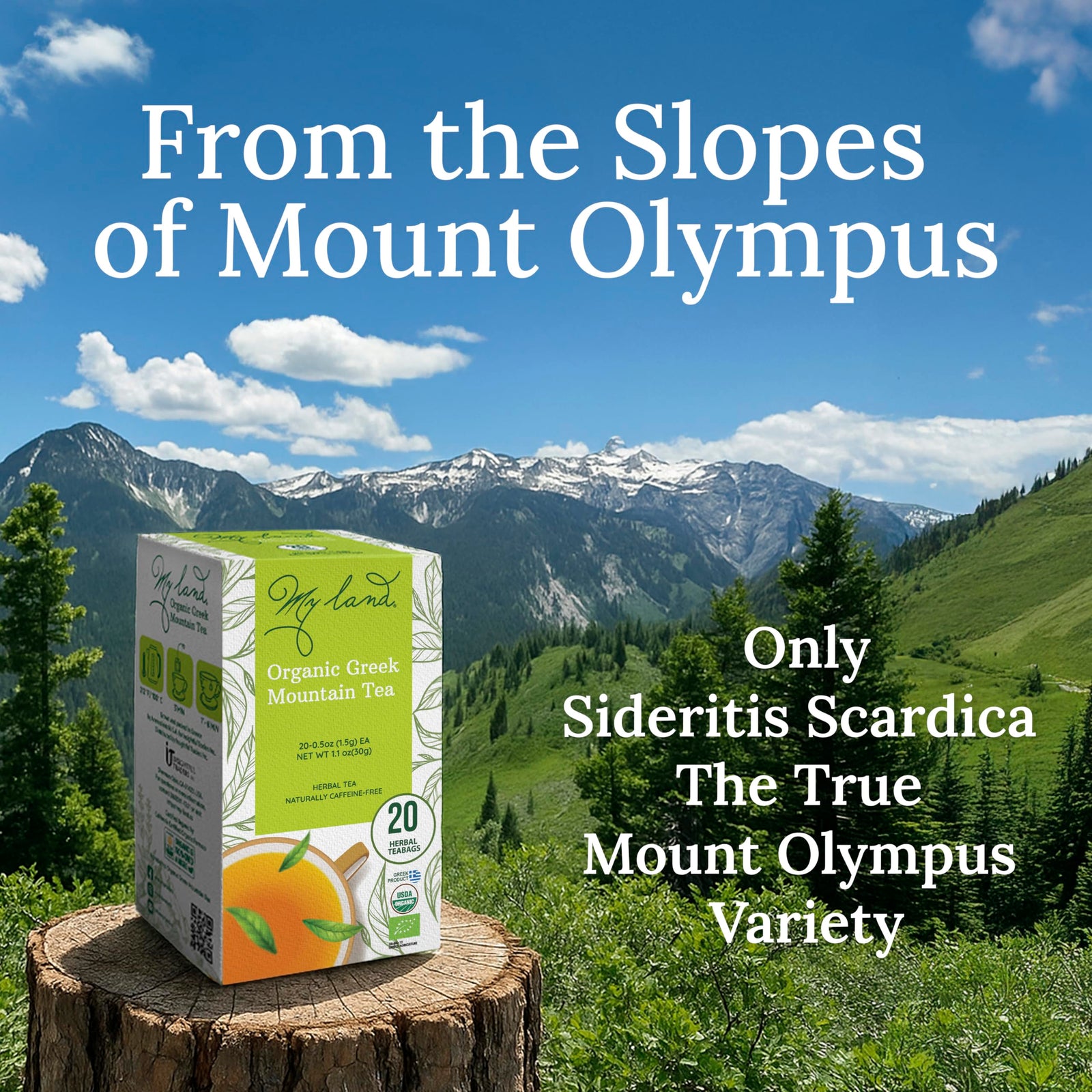 Greek Mountain Tea Bags – 20 Count