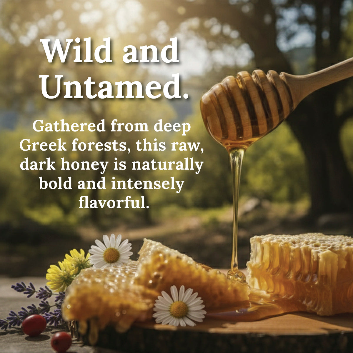 My Land Forest Honey - Forest Honey Individual 2