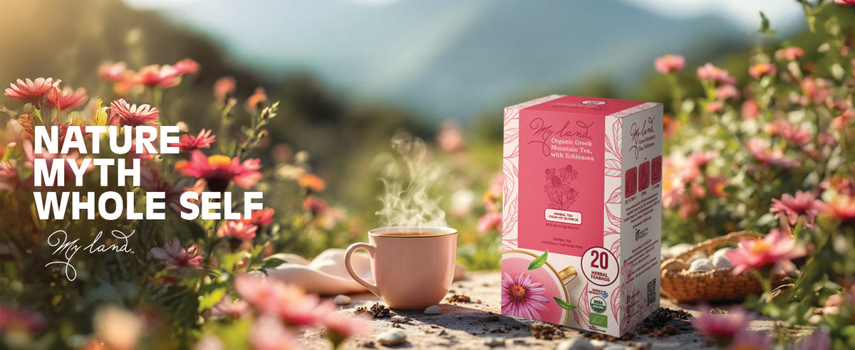 My Land Mountain Tea Echinacea - GREEK TEA WITH ECHINACEA  BANNER 2