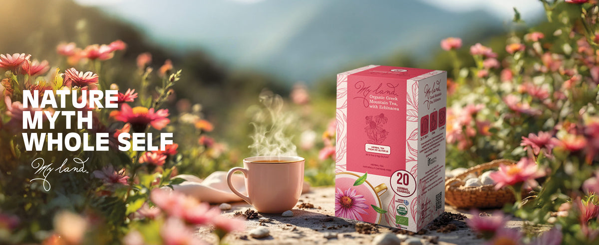 My Land Mountain Tea Echinacea - GREEK TEA WITH ECHINACEA SIZE2 2