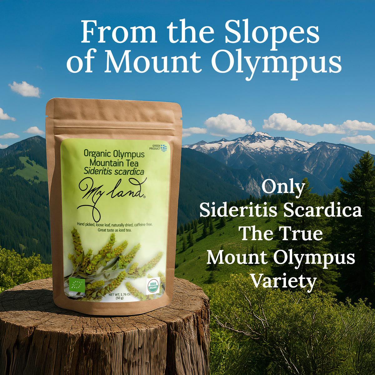 My Land Mountain Tea Loose Leaf - GREEK loose tea 1