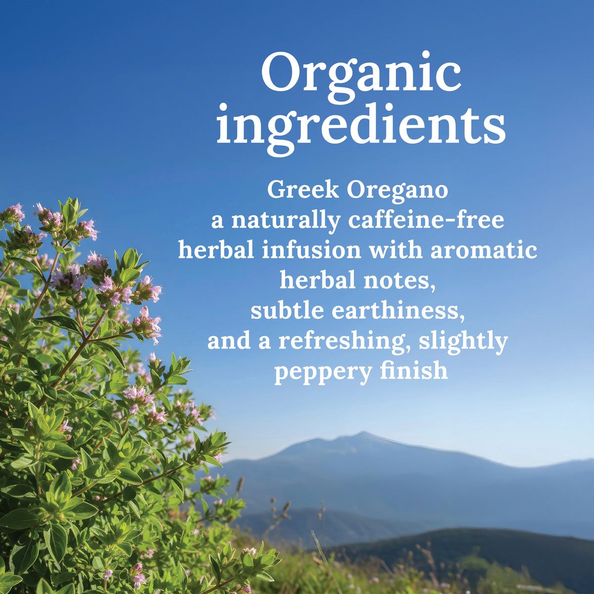 My Land Greek Oregano - resealable kraft bag detail