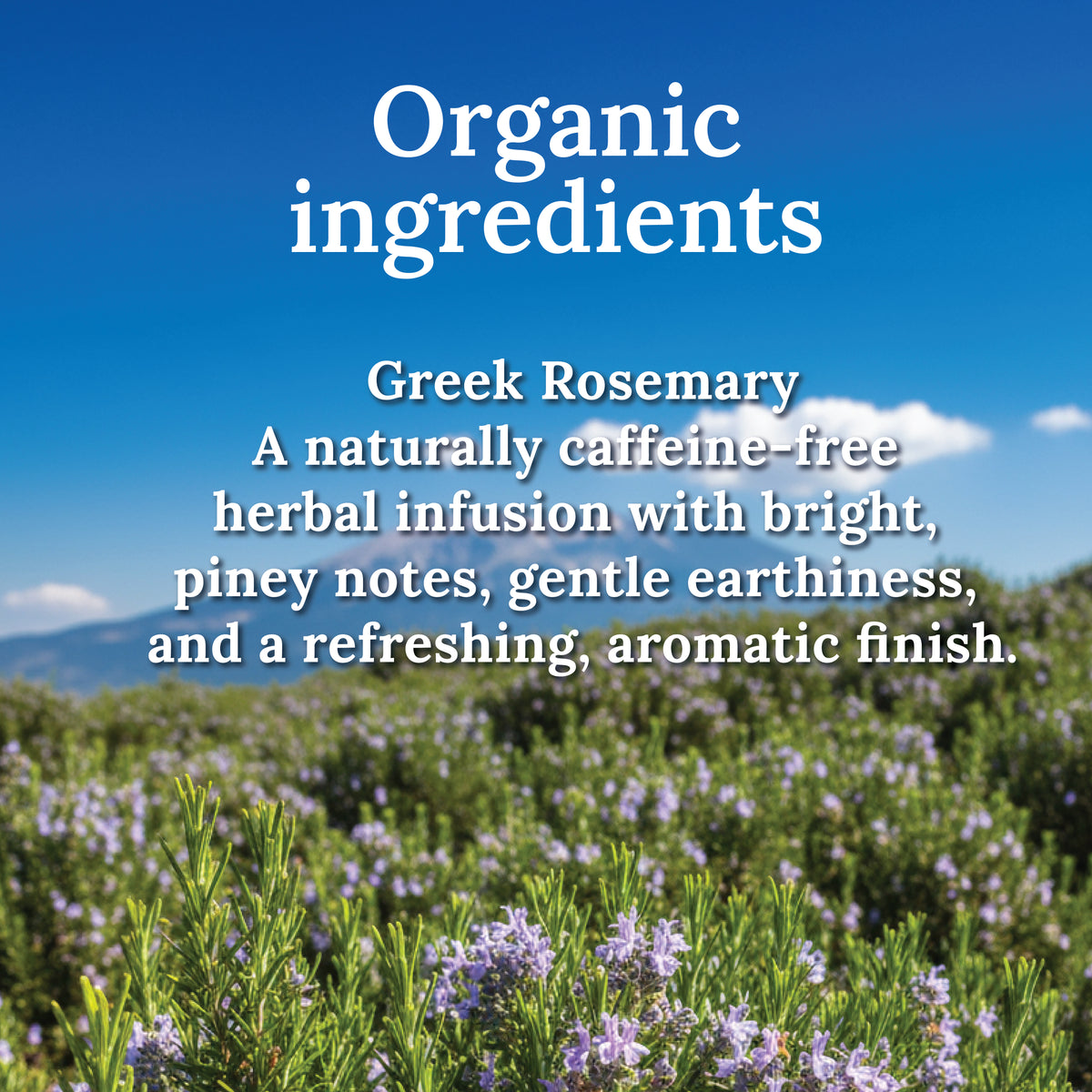 My Land Greek Rosemary - resealable kraft bag detail