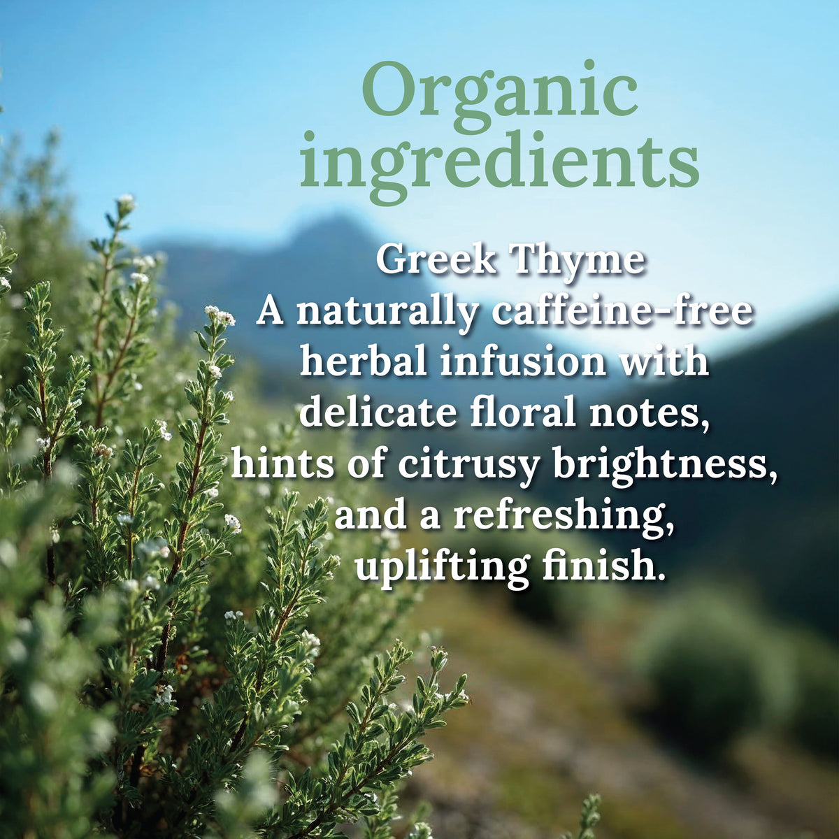 My Land Greek Thyme - resealable kraft bag detail
