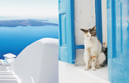 A cat observing the Santorini big blue and the beauty of greek islands. Metaphoric for About US - My Land