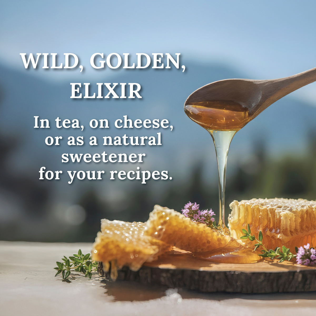 My Land Thyme Honey - greek-thyme-honey-drizzle-honeycomb